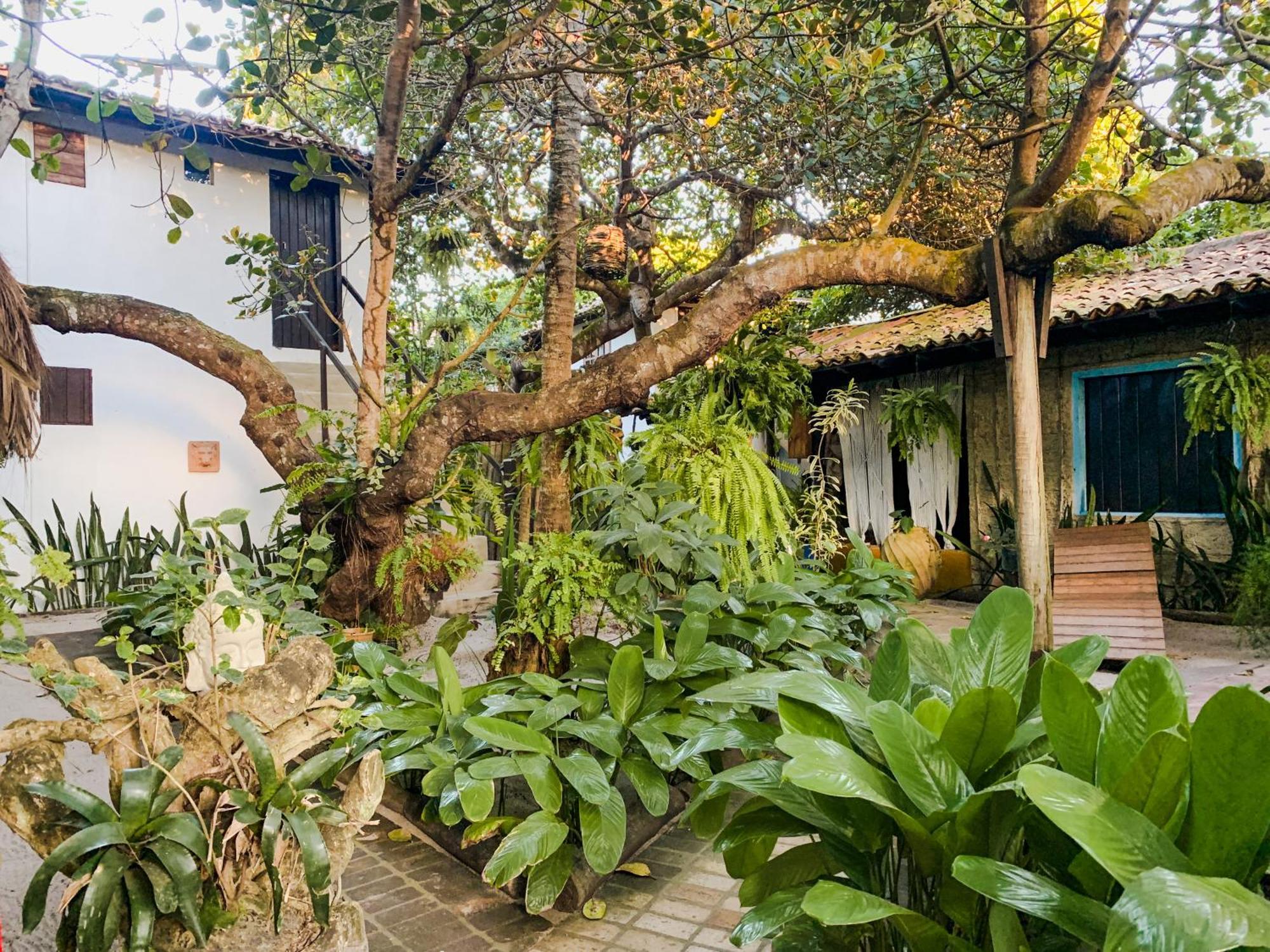 Pousada Raiz Forte Zen Caraíva Exterior foto